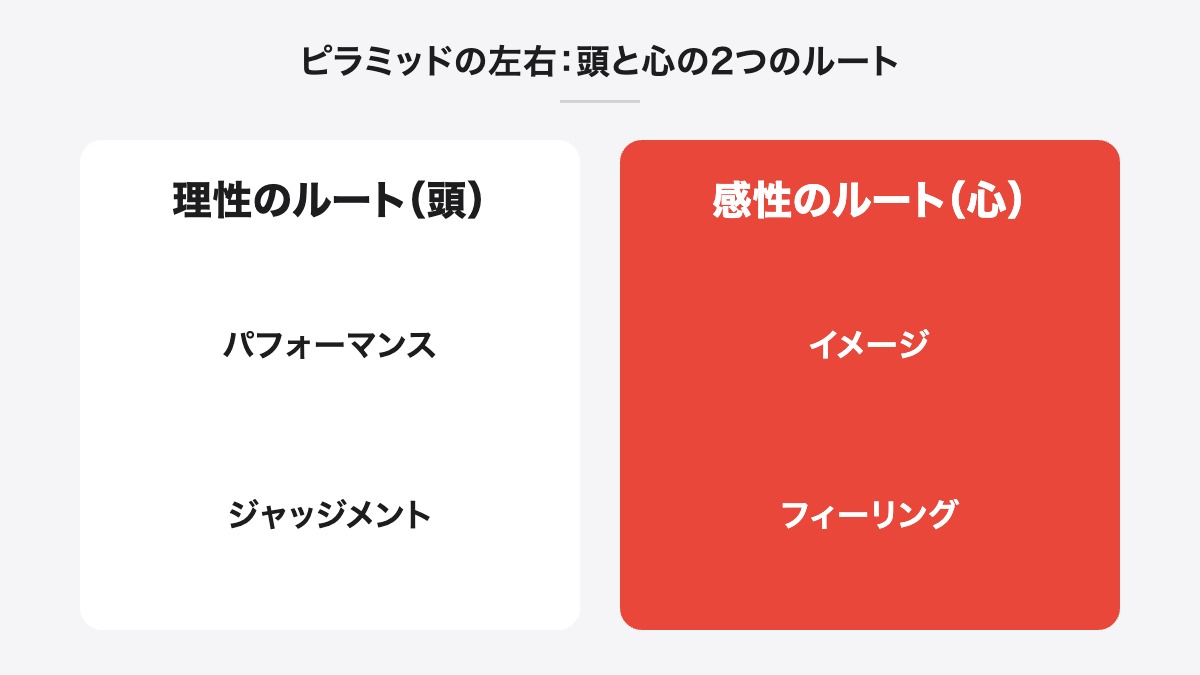 ピラミッドの左右:頭と心の2つのルート|理性のルート(頭):パフォーマンス、ジャッジメント/感性のルート(心):イメージ、フィーリング